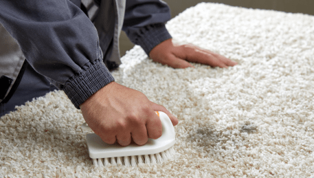 Professional Rug Cleaning Torquay