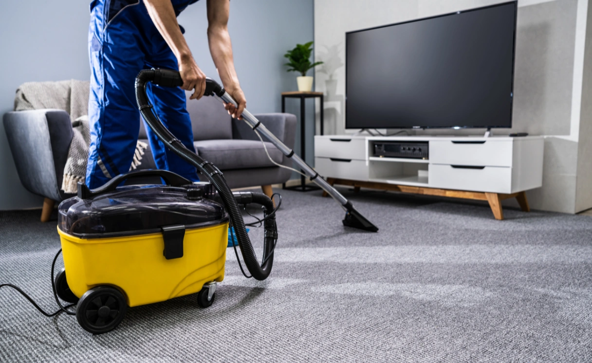 Extract Rug Cleaning Torquay Contact Office